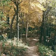 E1
